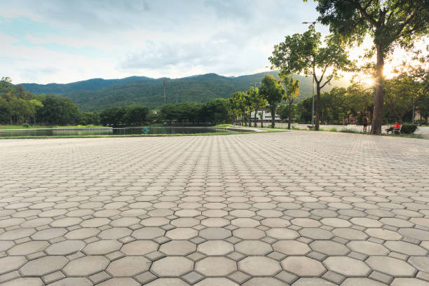 Best Local Driveway Pavers  in Ancient Oaks, PA